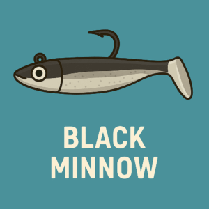 Black Minnow