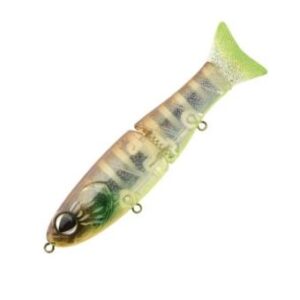 Sakura S-Shiner 170 S 104 (HP Gill)