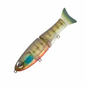 Sakura S-Shiner 170 S 092 ( Ghost BlueGi