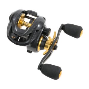 Hart Izan maneta carbono