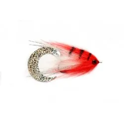 Moscas para Lucio D12